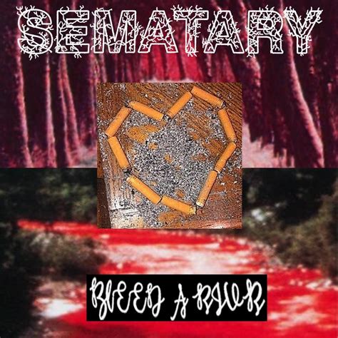 bleed a river sematary|sematary type guitar.